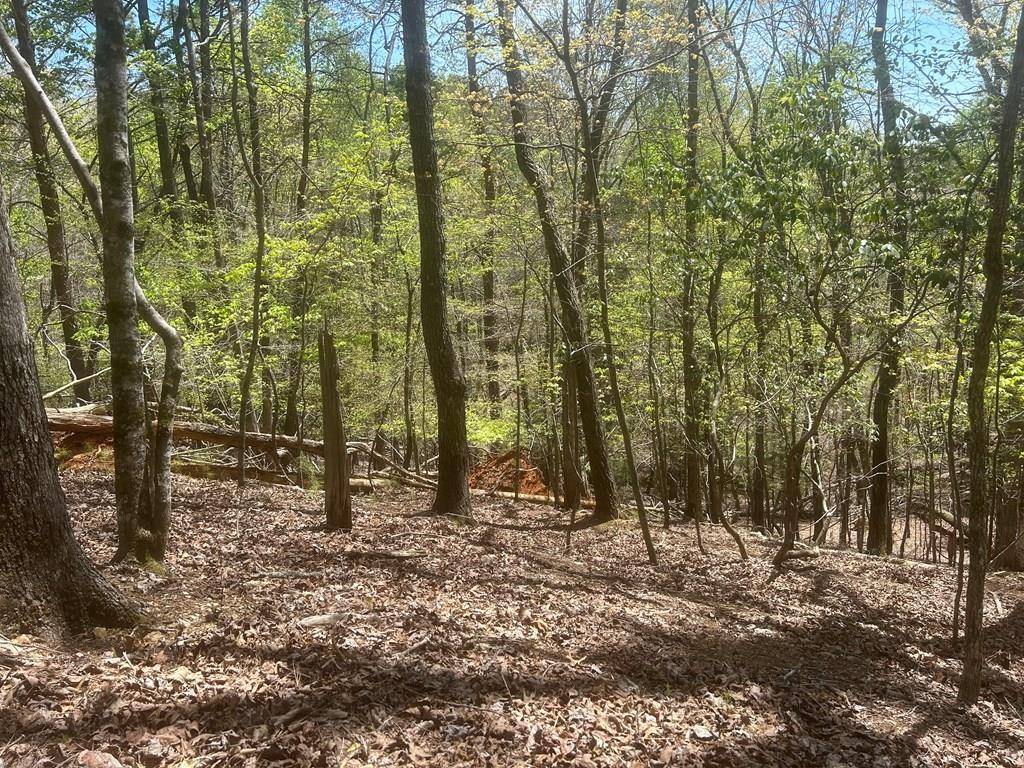 Ellijay, GA 30540,LT1944 Palmetto Drive