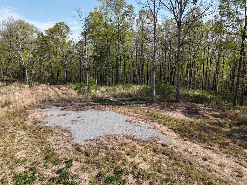Ellijay, GA 30540,Lot 20 Blalock Mountain Road