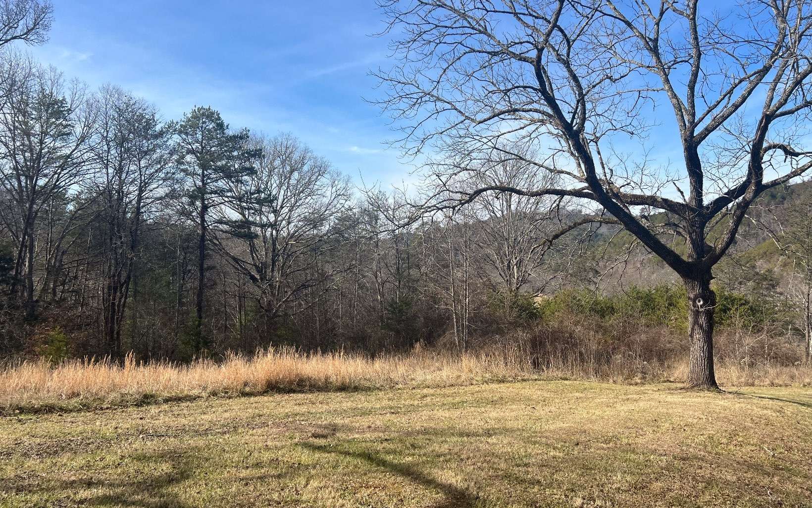 Murphy, NC 28906,LOT31 Riverwalk On The Hia