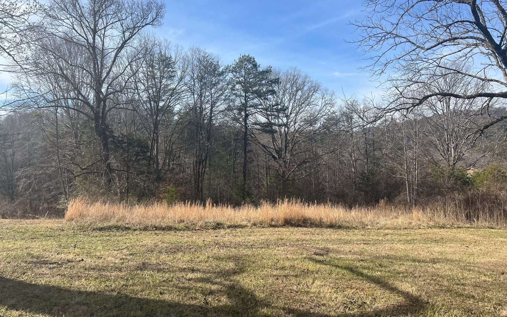 Murphy, NC 28906,LOT31 Riverwalk On The Hia