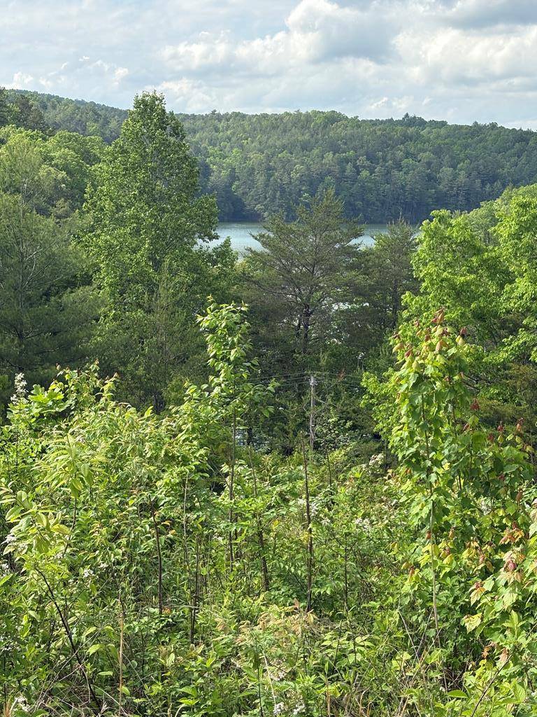 Murphy, NC 28906,Lot 7 Foot Hill Estates
