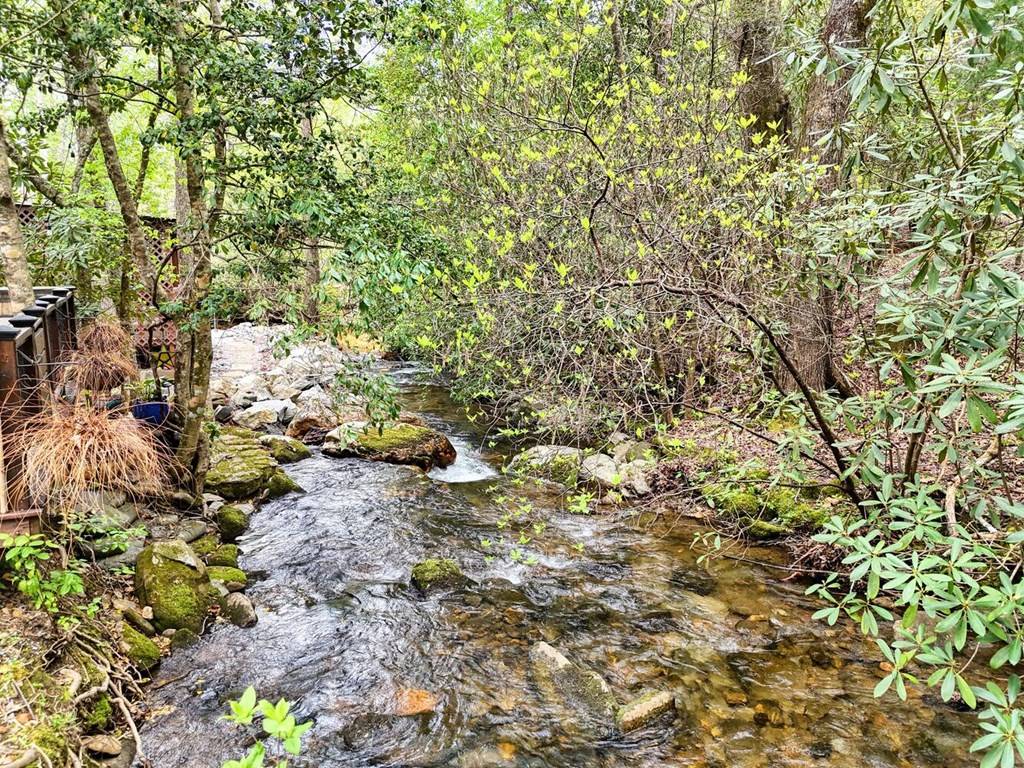 Hiawassee, GA 30546,1095 Creekside Drive