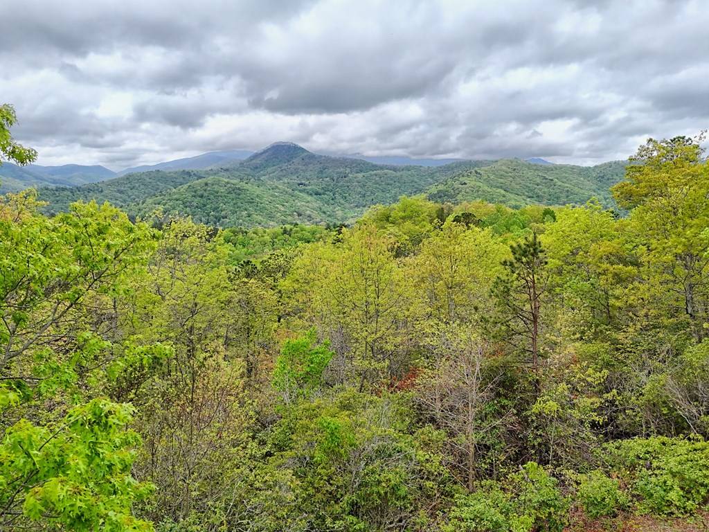 Hiawassee, GA 30546,2608 The Ridges