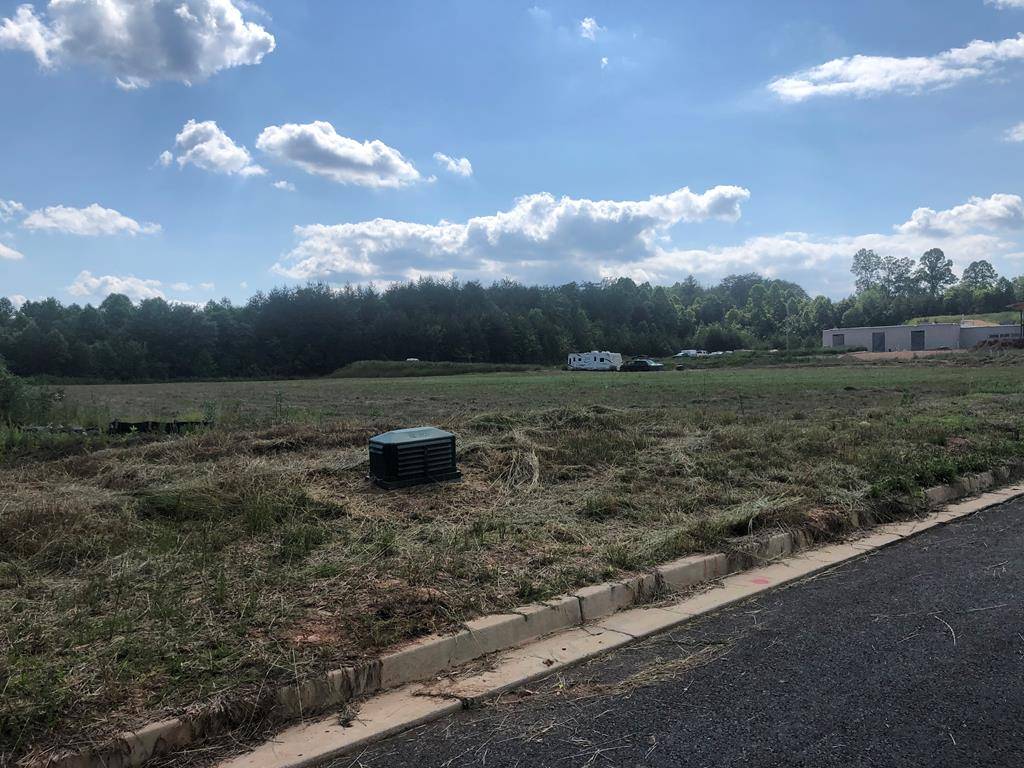 Blue Ridge, GA 30513,2 Blackhawk Drive