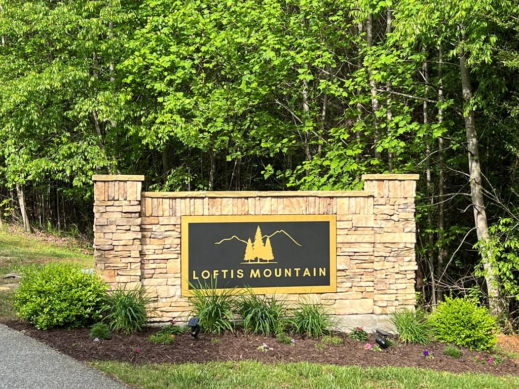 Blairsville, GA 30512,Lot 25 Loftis Mountain