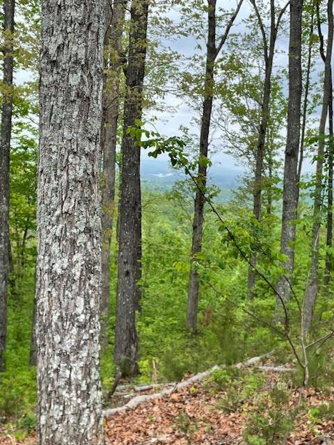 Blairsville, GA 30512,LOT 91 Winding Ridge