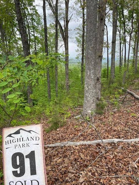 Blairsville, GA 30512,LOT 91 Winding Ridge
