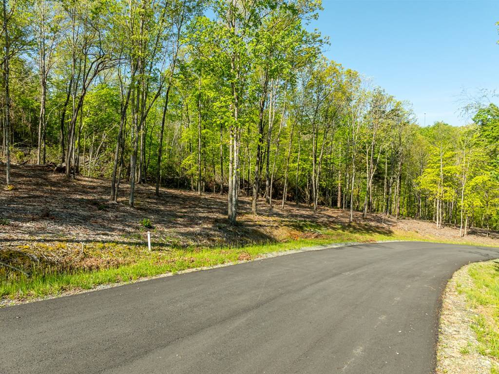 Morganton, GA 30560,Lot 3 Briar Creek Drive