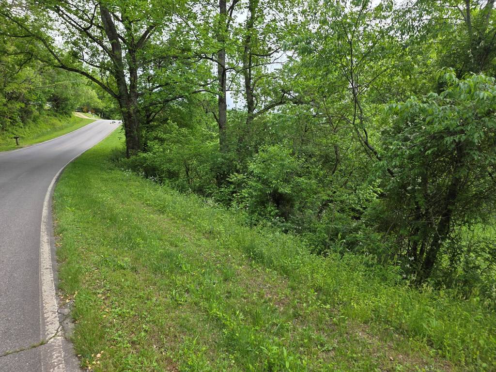 Hiawassee, GA 30546,01 Bearmeat Road