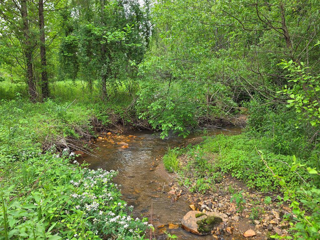 Hiawassee, GA 30546,01 Bearmeat Road