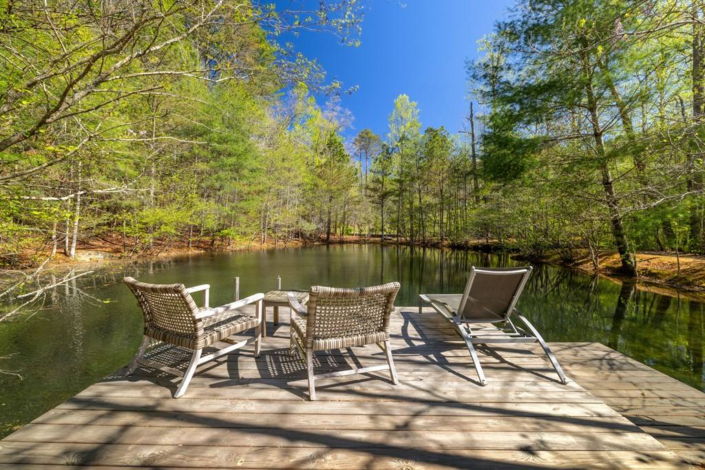 Ellijay, GA 30540,817 Tails Creek Church Road