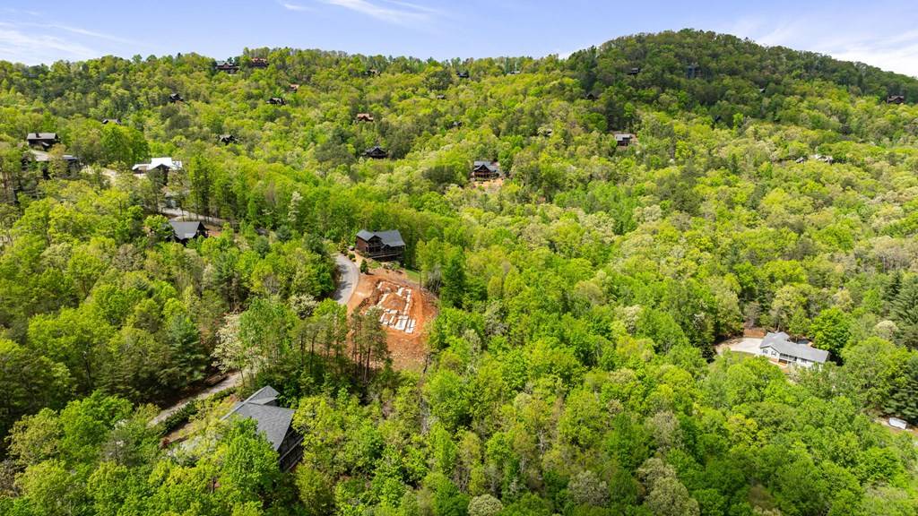 Blue Ridge, GA 30513,Tract B Deer Crest Road