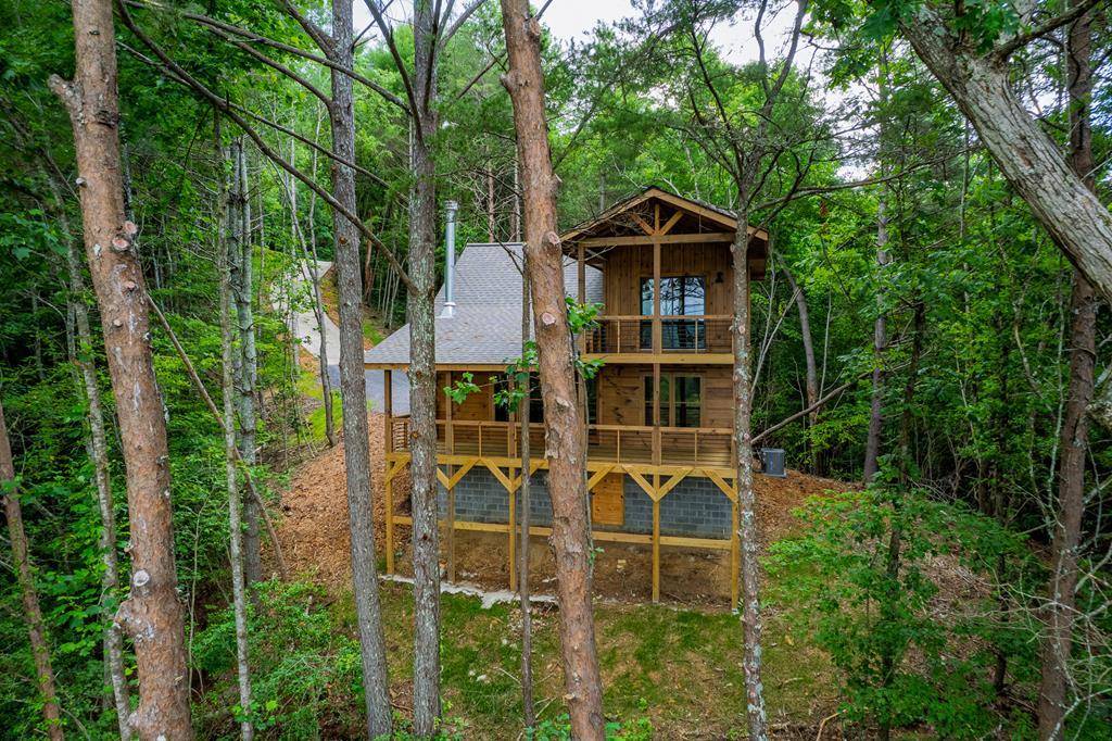 Ellijay, GA 30540,46 Dj Drive