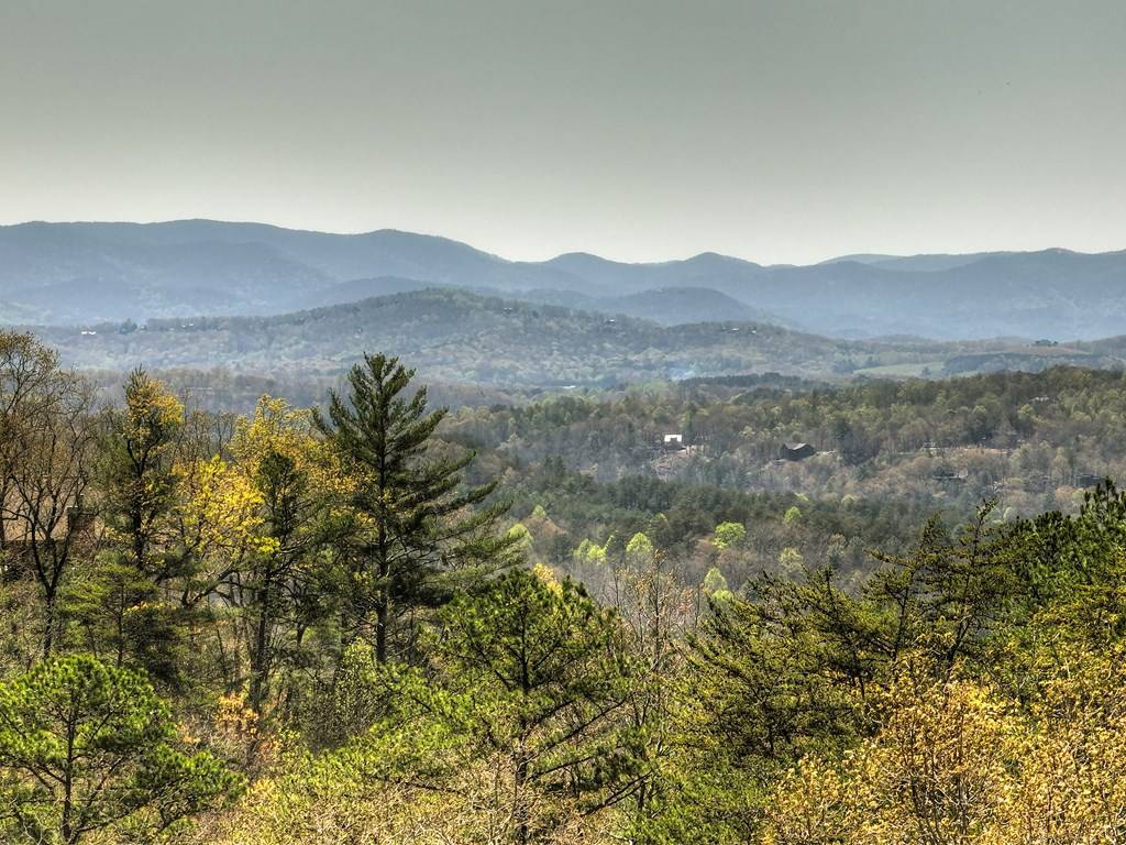 Morganton, GA 30560,143 Katydid Road
