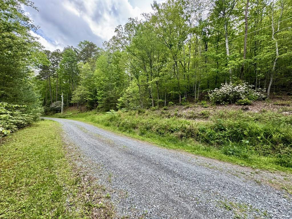 Blue Ridge, GA 30515,208 Bullen Gap Road