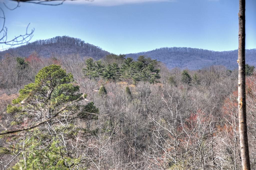 Ellijay, GA 30540,1204 Settlers Ridge Road