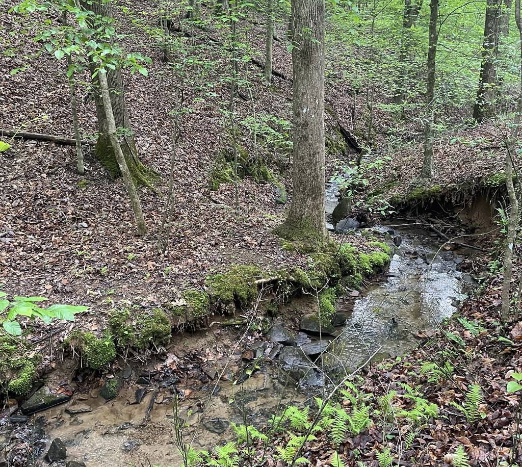 Ellijay, GA 30540,Lot 127 Water Oak Drive