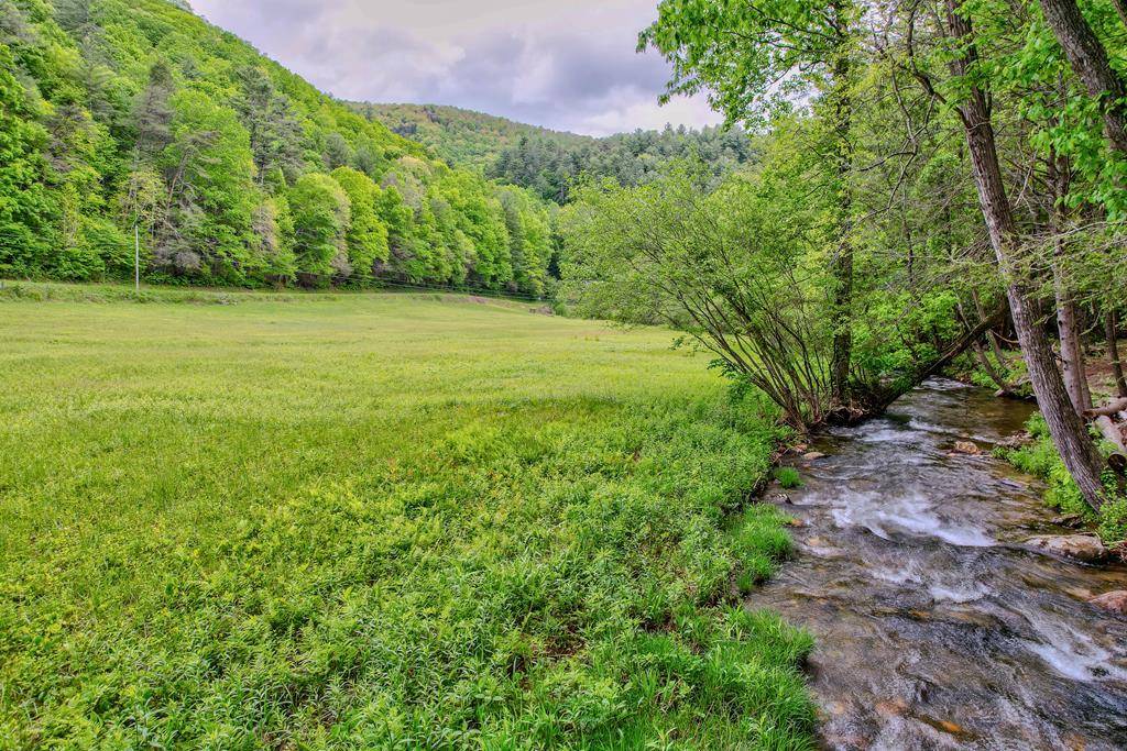 Cherry Log, GA 30522,16400 Big Creek Road