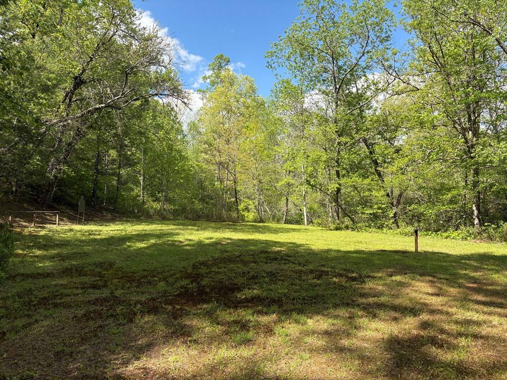 Mineral Bluff, GA 30559,LT 23,24 Arbor Creek Trail