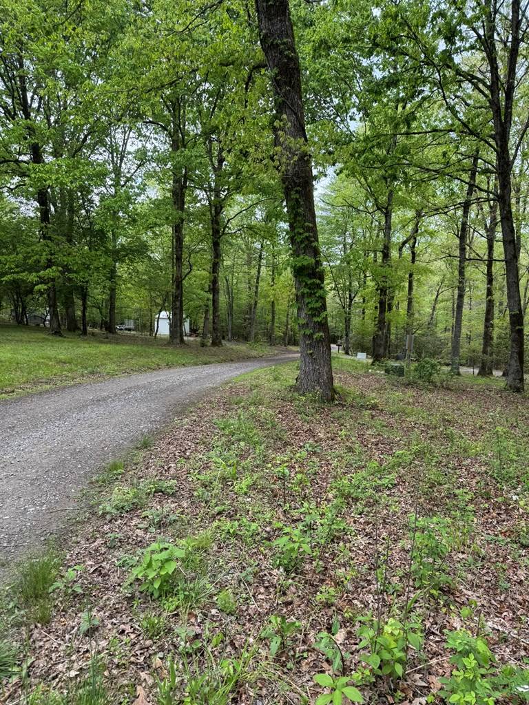 Murphy, NC 28906,25 Holly Point Drive