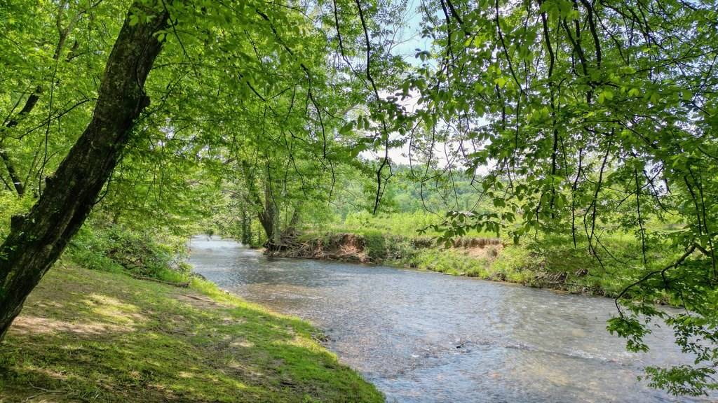 Ellijay, GA 30540,317 River Escape Drive