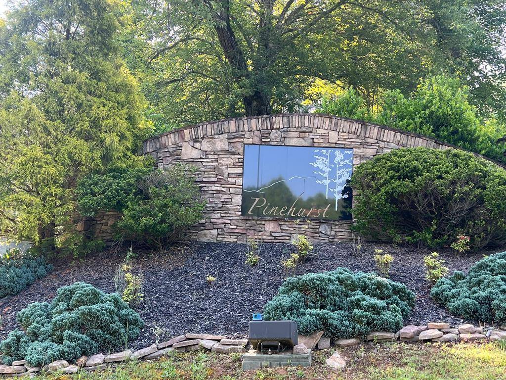 Blairsville, GA 30512,Lot 54 Pinehurst Road