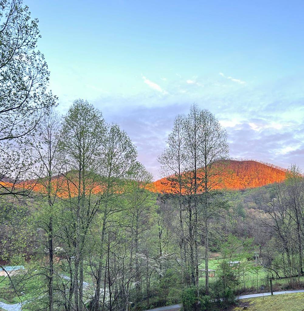 Hayesville, NC 28904,154 Anns Lane