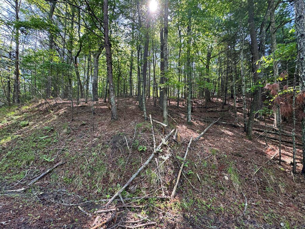 Ellijay, GA 30540,1336 Lyric Lane