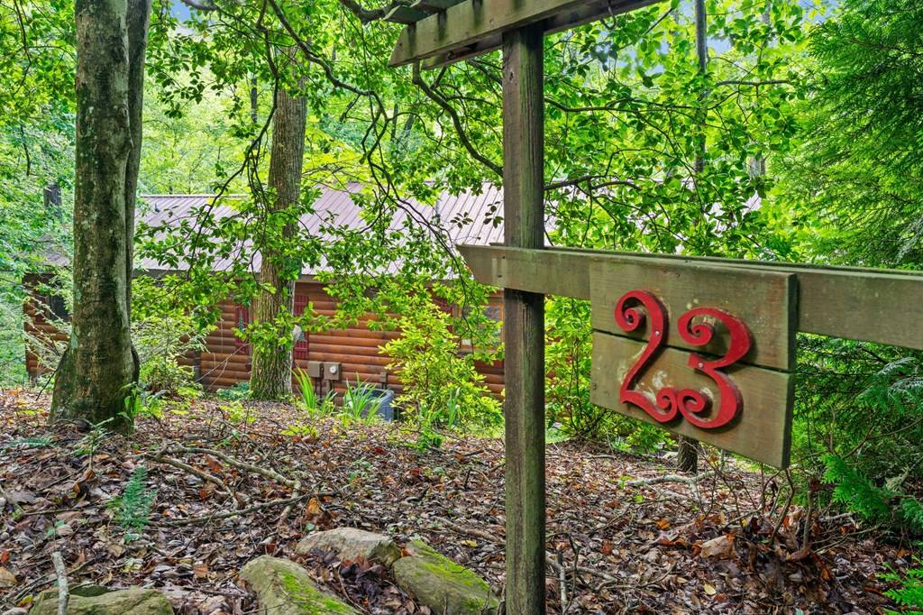 Cherry Log, GA 30522,23 Holly Hollow Court