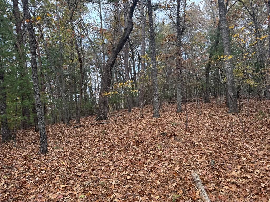 Murphy, NC 28906,1 Paradise Park Road