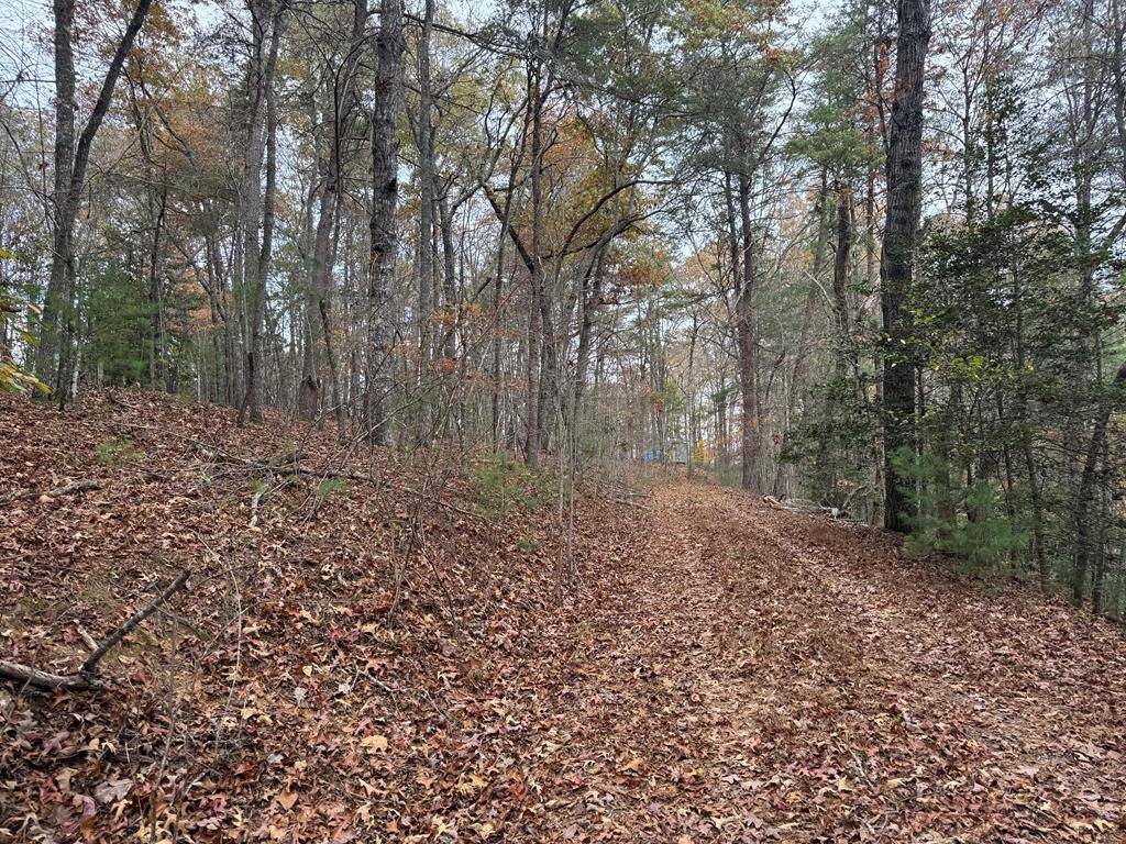 Murphy, NC 28906,1 Paradise Park Road