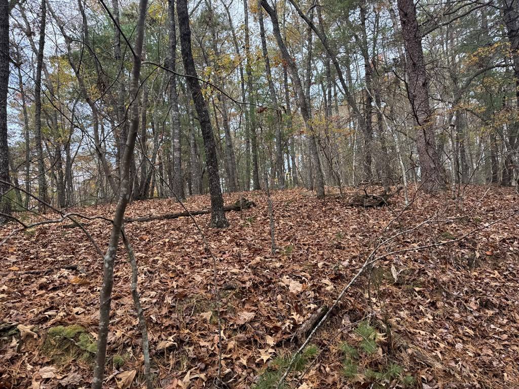 Murphy, NC 28906,7 Paradise Park Road