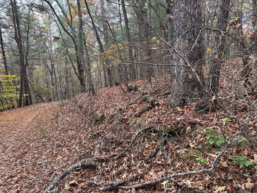 Murphy, NC 28906,9 Paradise Park Road