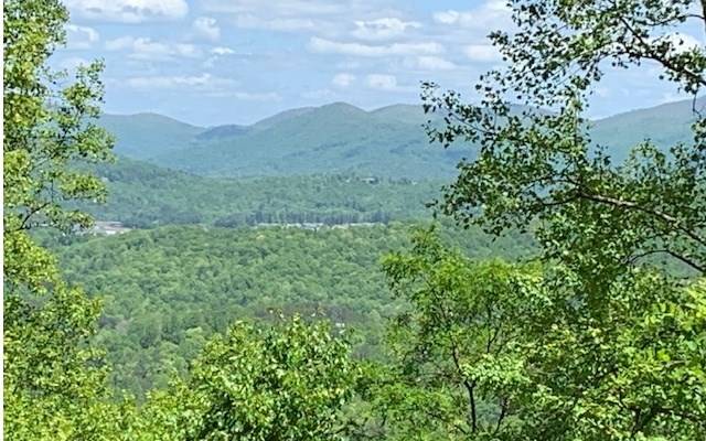 Hiawassee, GA 30546,Lot 8 Hidden Summit Road