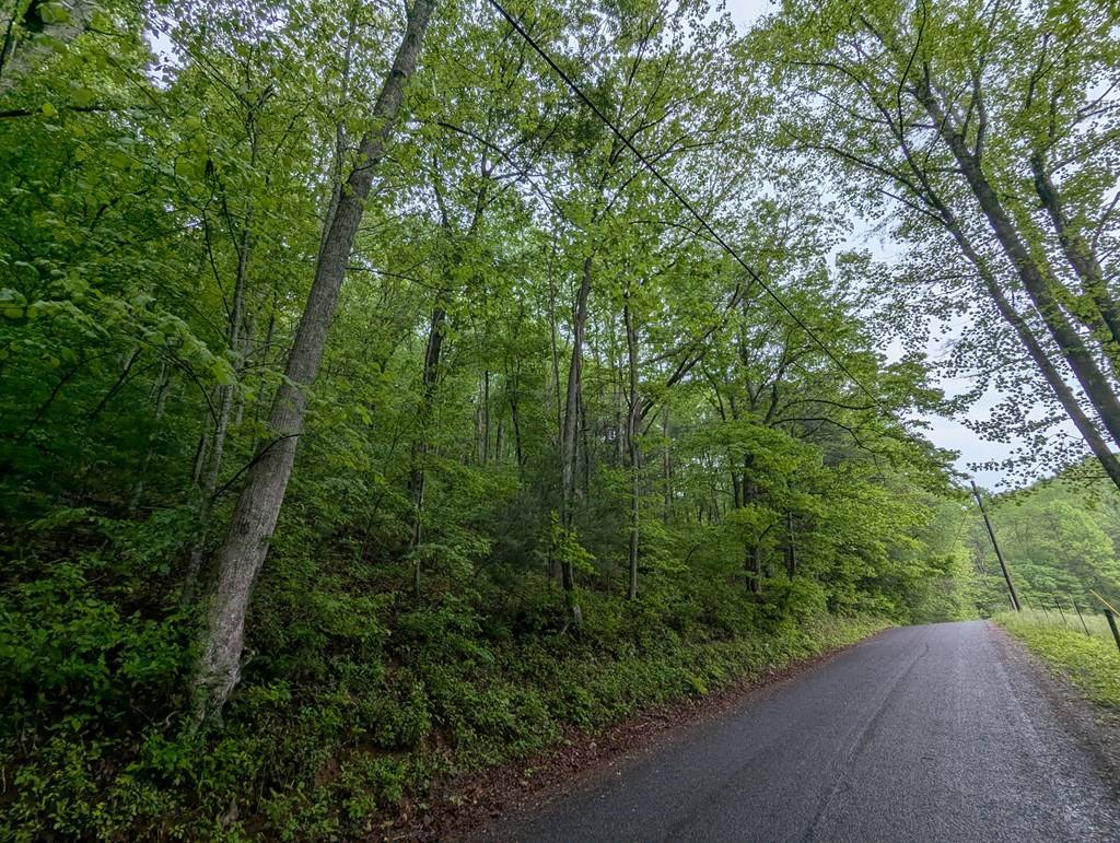 Ellijay, GA 30536,Address not disclosed