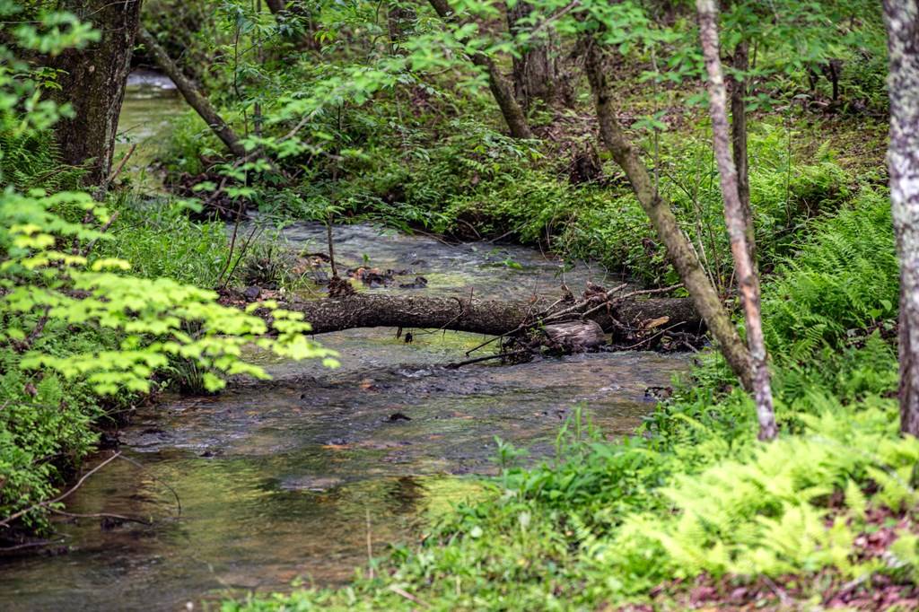 Mccaysville, GA 30555,400 Creekside Drive