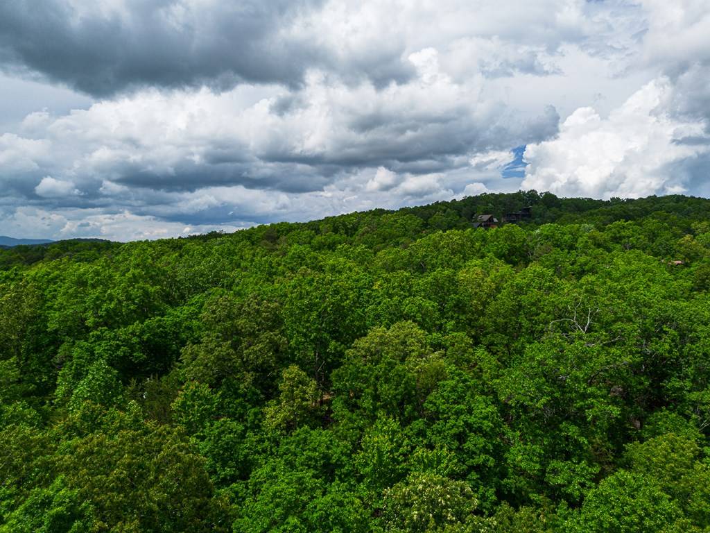 Blue Ridge, GA 30513,0 Century Lane