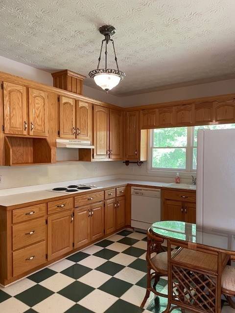 Ellijay, GA 30540,629 Camp Branch Road