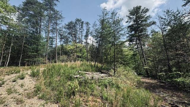 Young Harris, GA 30582,Tract 1 Georgia 66
