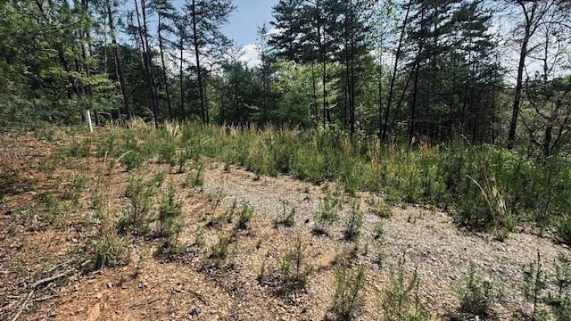 Young Harris, GA 30582,Tract 1 Georgia 66