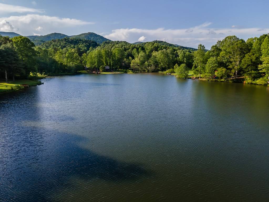 Ellijay, GA 30540,17 Nicholas Way South