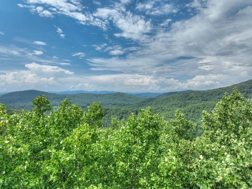 Morganton, GA 30560,Lot 11 Grand Oaks S/D