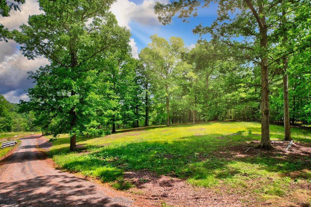 Blue Ridge, GA 30513,C4 Briar Woods Lane