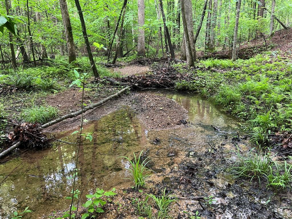 Waleska, GA 30183,395 Able Road