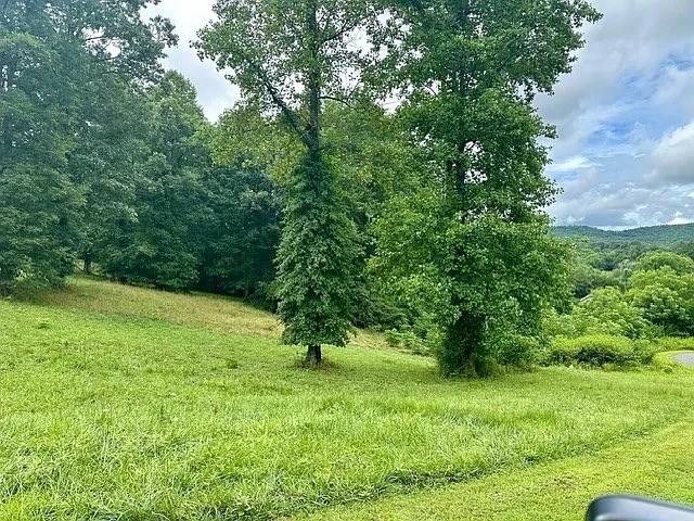 Blairsville, GA 30512,Lot 15 Pleasant Meadows