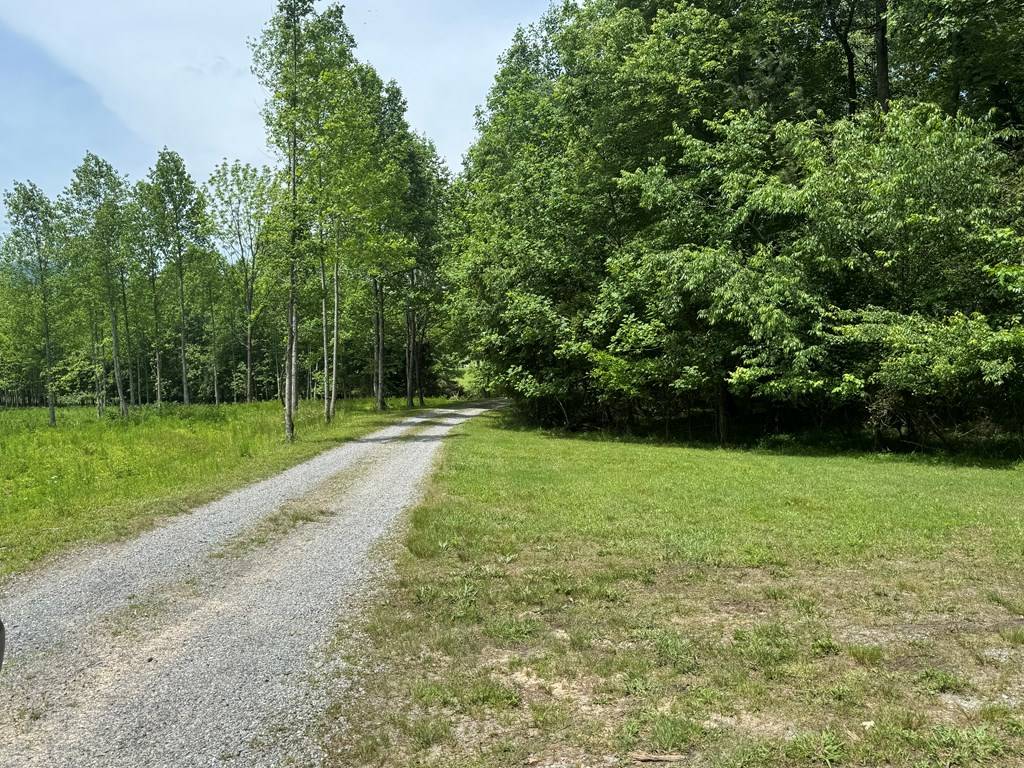 Young Harris, GA 30582,Lot 3 Still Meadows Court