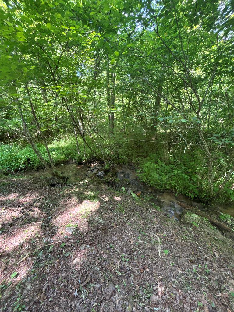 Mineral Bluff, GA 30559,149 Happy Hollow Lane