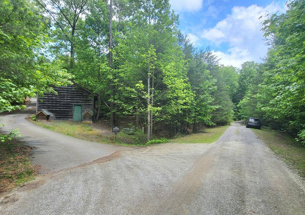 Morganton, GA 30560,Lot 9 Folklore Court