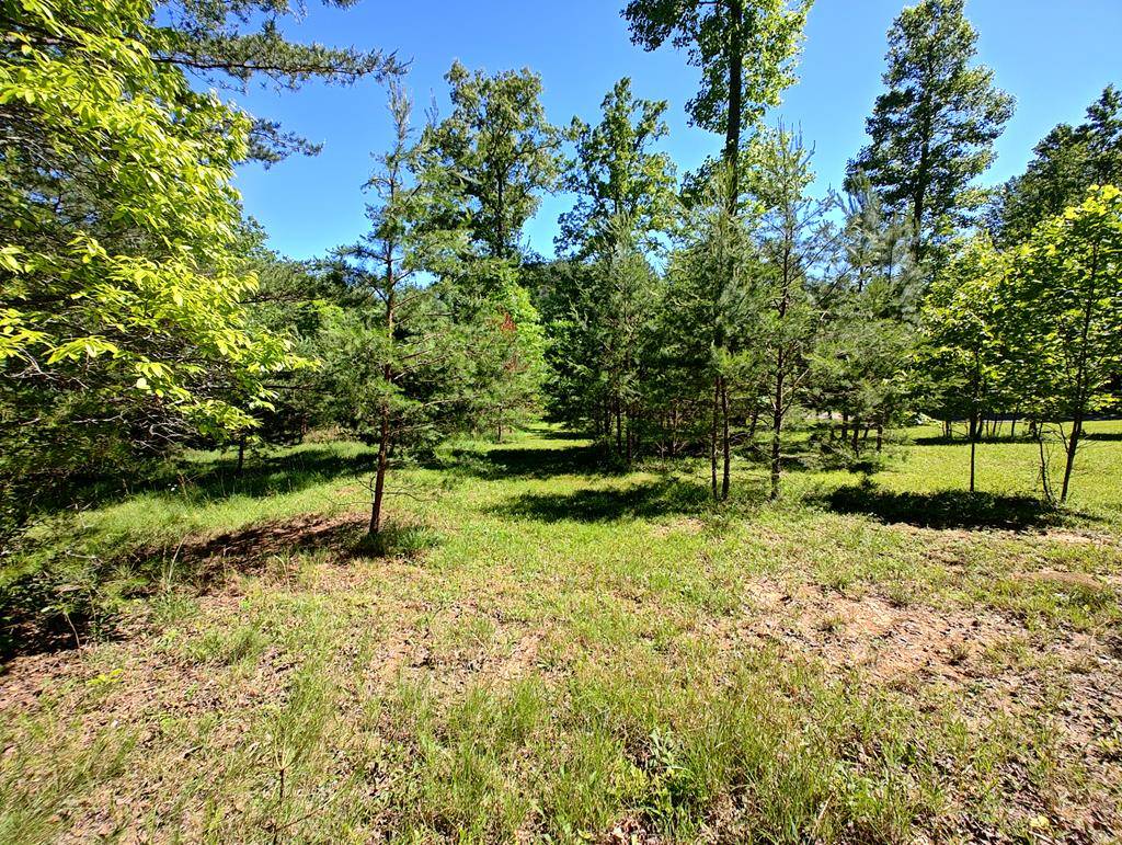 Murphy, NC 28906,11 & 12 Cabin Run Lane