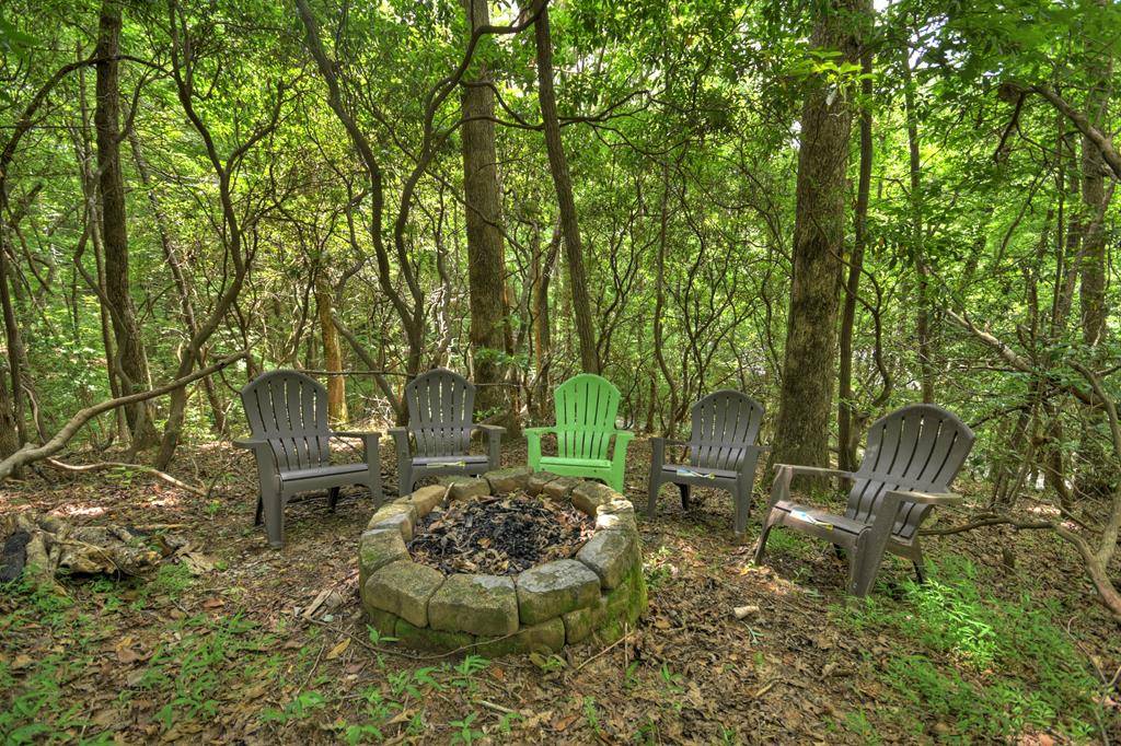 Blue Ridge, GA 30513,135 Tomahawk Trail